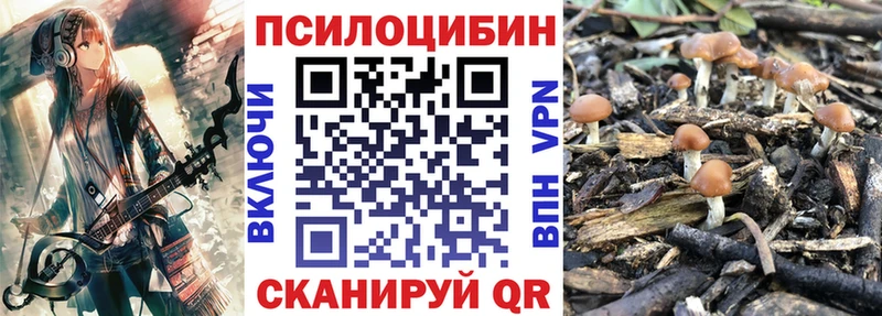 дарнет шоп  OMG как зайти  Псилоцибиновые грибы Cubensis  Высоковск 